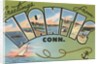 Greetings from Niantic, Connecticut by Anonymous