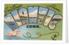 Greetings from Niantic, Connecticut by Anonymous
