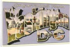 Greetings from Washington, DC by Anonymous