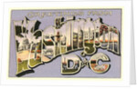 Greetings from Washington, DC by Anonymous