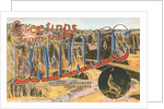 Greetings from the Badlands National Monument, South Dakota by Anonymous