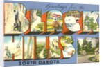Greetings from the Black Hills, South Dakota by Anonymous