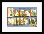 Greetings from the Black Hills, South Dakota by Anonymous