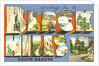 Greetings from the Black Hills, South Dakota by Anonymous