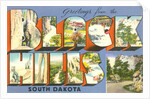 Greetings from the Black Hills, South Dakota by Anonymous