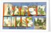 Greetings from the Black Hills, South Dakota by Anonymous