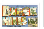 Greetings from the Black Hills, South Dakota by Anonymous
