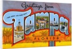 Greetings from Tampa, Florida by Anonymous