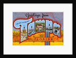 Greetings from Tampa, Florida by Anonymous