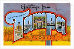 Greetings from Tampa, Florida by Anonymous