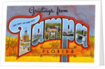 Greetings from Tampa, Florida by Anonymous