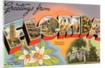Greetings from Florida by Anonymous