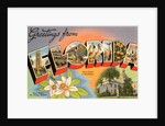 Greetings from Florida by Anonymous