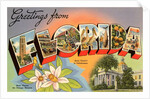 Greetings from Florida by Anonymous