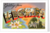 Greetings from Florida by Anonymous