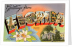 Greetings from Florida by Anonymous