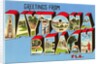 Greetings from Daytona Beach, Florida by Anonymous