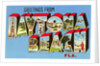 Greetings from Daytona Beach, Florida by Anonymous