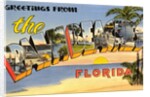 Greetings from the Palm Beaches, Florida by Anonymous
