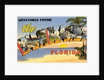 Greetings from the Palm Beaches, Florida by Anonymous