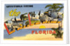Greetings from the Palm Beaches, Florida by Anonymous