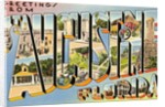 Greetings from St. Augustine, Florida by Anonymous