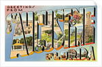 Greetings from St. Augustine, Florida by Anonymous