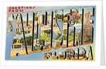 Greetings from St. Augustine, Florida by Anonymous