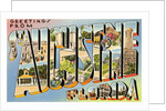 Greetings from St. Augustine, Florida by Anonymous