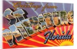Greetings from St. Petersburg, Florida by Anonymous