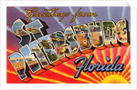 Greetings from St. Petersburg, Florida by Anonymous