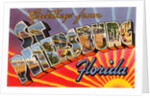 Greetings from St. Petersburg, Florida by Anonymous