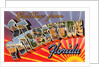 Greetings from St. Petersburg, Florida by Anonymous
