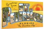 Greetings from St. Petersburg, Florida by Anonymous