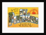 Greetings from St. Petersburg, Florida by Anonymous