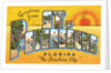 Greetings from St. Petersburg, Florida by Anonymous