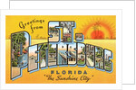 Greetings from St. Petersburg, Florida by Anonymous