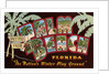 Greetings from Palm Beach, Florida by Anonymous