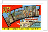 Greetings from St. Petersburg, Florida by Anonymous