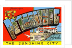 Greetings from St. Petersburg, Florida by Anonymous