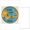 Cape Cod travel decal by Anonymous
