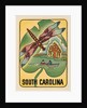 South Carolina travel decal by Anonymous
