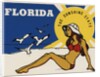 Florida travel decal by Corbis