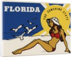 Florida travel decal by Corbis