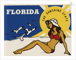 Florida travel decal by Corbis