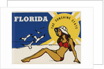 Florida travel decal by Corbis