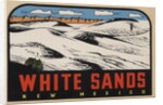 White Sands New Mexico travel decal by Anonymous