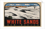White Sands New Mexico travel decal by Anonymous