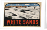White Sands New Mexico travel decal by Anonymous