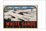 White Sands New Mexico travel decal by Anonymous